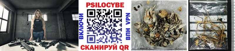 Псилоцибиновые грибы GOLDEN TEACHER  как найти закладки  Чаплыгин 